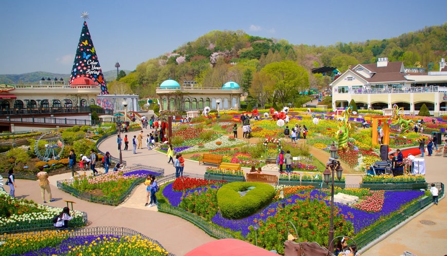 C&ocirc;ng Vi&ecirc;n EverLand - Điểm S&aacute;ng Của Du Lịch H&agrave;n Quốc