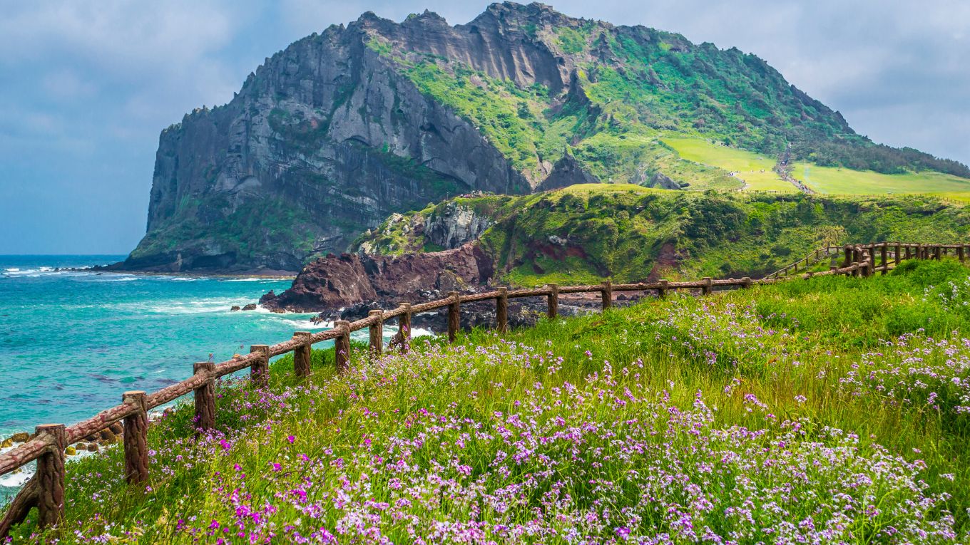Tour H&agrave;n Quốc gi&aacute; rẻ
