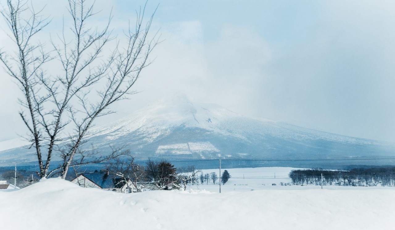 Nagoya, Nara, Hokkaido &ndash; Mở rộng trải nghiệm